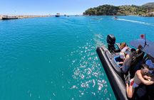 Speedboat Tour at Blue Gem Cave and Grama Bay