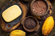 CiTY TOUR FROM PUNTACANA +COOFEE & CHOCOLATE TASTING +LUNCH