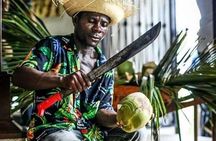 CiTY TOUR FROM PUNTACANA +COOFEE & CHOCOLATE TASTING +LUNCH