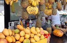 CiTY TOUR FROM PUNTACANA +COOFEE & CHOCOLATE TASTING +LUNCH