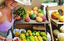 CiTY TOUR FROM PUNTACANA +COOFEE & CHOCOLATE TASTING +LUNCH