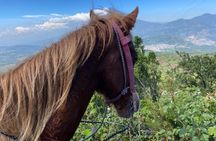Volcanic Horseback Trail Ride and Village Tour Outside of Antigua
