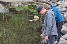 Stavanger Private Walking Tour with a Local