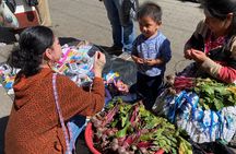 Authentic Chicken Bus Experience and Mayan Village Tour