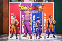 Tokyo Anime and Manga Culture Private Tour with Local