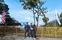 Package A Halfday Mossy Forest Private Tour