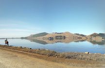 Otago Peninsula Scenery & Little Blue Penguins Evening Tour
