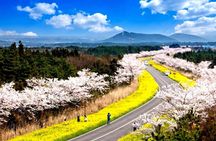Jeju East Essentials – Seongsan Ilchulbong (UNESCO) & Haenyeo