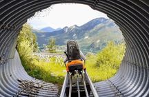 Munich: Neuschwanstein Tour with Oberammergau or Alpine Coaster