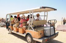 Grand Egyptian Museum, Giza Pyramids and Sphinx Private Tour