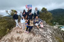 Package A Halfday Mossy Forest Private Tour