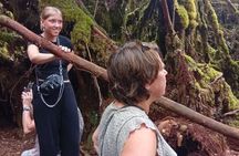 Cameron Highlands Fullday Discovery Package B Shared Tour