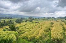 All Inclusive Private Bali Heritage Tour