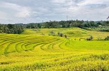 All Inclusive Private Bali Heritage Tour