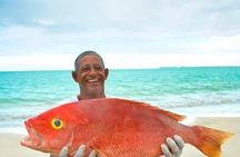 Deep Sea Fishing Puntacana 