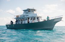 Jolly Roger Reef Fishing Experience