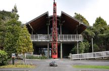 Private Auckland West Coast and Mt Eden Black Sand Beaches Tour