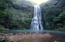 Private Auckland West Coast and Mt Eden Black Sand Beaches Tour