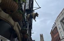 York Private Historical Pub Tour with Free Drinks
