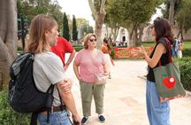 Topkapi Palace and Harem Tour (Small Group & Fast Track Entry)