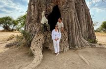 5-Day Private Luxury Ndutu Calving Season – Wildebeest Migration