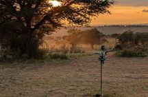 5-Day Private Luxury Ndutu Calving Season – Wildebeest Migration