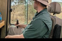 5-Day Private Luxury Ndutu Calving Season – Wildebeest Migration