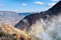 Hakone Day Tour from Tokyo by Car with Onsen Experience