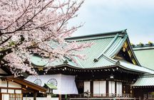 Tokyo Private Cherry Blossom Tour with a Shiba Inu & Shrine Walk
