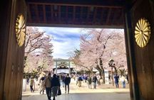 Tokyo Private Cherry Blossom Tour with a Shiba Inu & Shrine Walk