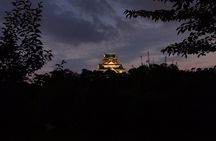Osaka Castle Haunted Walk (Night & Day)