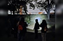 Osaka Castle Haunted Walk (Night & Day)