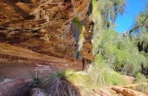 Highlights of National Park Full Day Tour with 4WD Hike Canoe