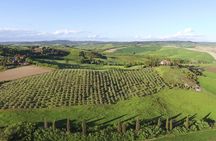 Tuscan Morning: Pasta Making with Lunch & Wine Tasting in Chianti