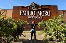 From Madrid to Ribera del Duero Vineyards and Towns Reconditos