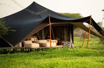 5 Days Tanzania Tented Camp Safari
