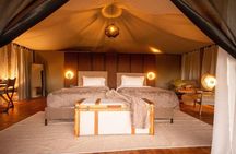 5 Days Tanzania Tented Camp Safari