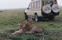 5 Days Tanzania Tented Camp Safari