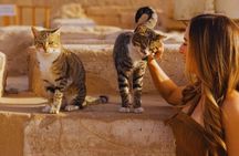 Luxor East Bank Private Experience with Authentic Cooking Class