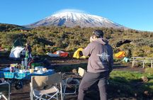 Mount Kilimanjaro Climbing in Tanzania Full-Day Trip 