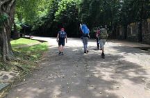 Mount Kilimanjaro Climbing in Tanzania Full-Day Trip 