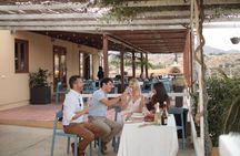 Alicante: Private Horse Ride + Brunch or Wine Tasting + Pick-up