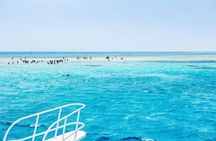 Ras Mohamed Snorkeling and White Island Experience