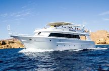 Ras Mohamed Snorkeling and White Island Experience