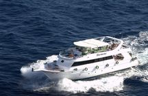 Ras Mohamed Snorkeling and White Island Experience