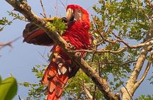 Corcovado National Park LA LEONA Ranger Station Full Day Tour