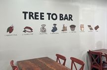 Puerto Rico Full Day Tour Beach Waterfalls and Culture