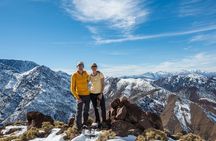 Marrakech: Atlas Mountains Day Hike, Talamrout Summit 2700M