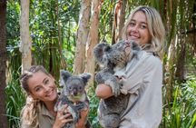 Koala and Wildlife Park Discover Magnetic Islands Native Animals