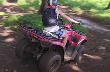 Half Day Tour Adventure Quad Tours, Blue Lagoon Lunch at Eden